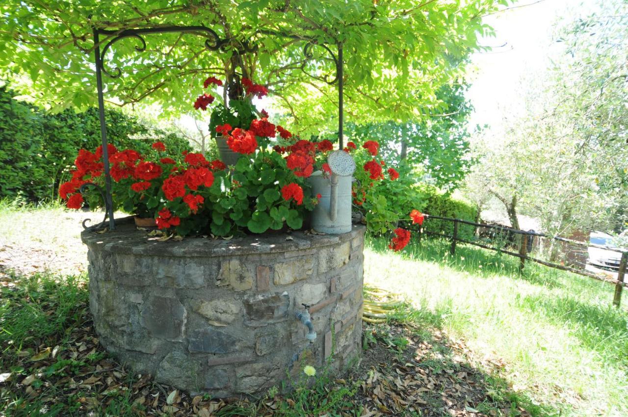 Agriturismo Panorama Sul Lago ปัสซีญาโน ซุล ตราซีเมโน ภายนอก รูปภาพ