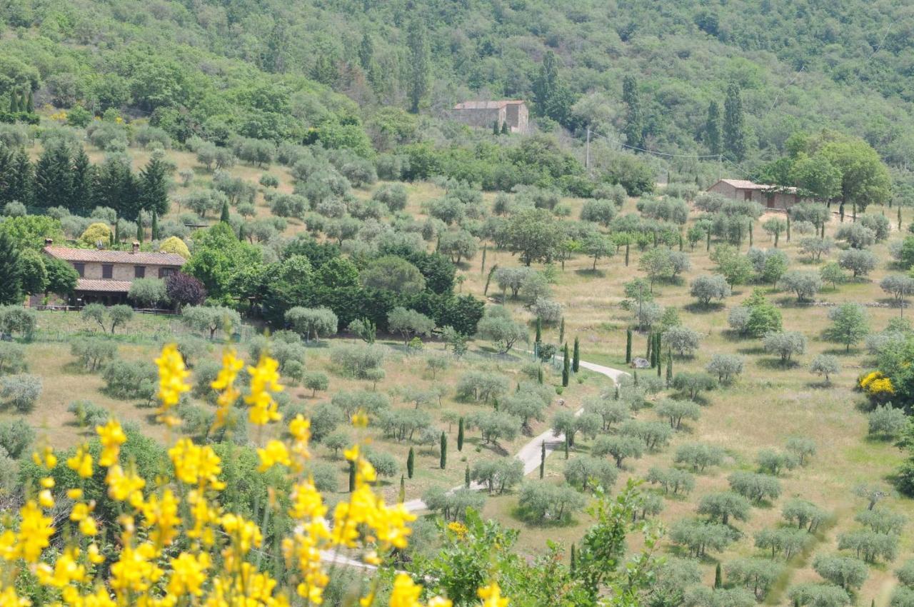Agriturismo Panorama Sul Lago ปัสซีญาโน ซุล ตราซีเมโน ภายนอก รูปภาพ